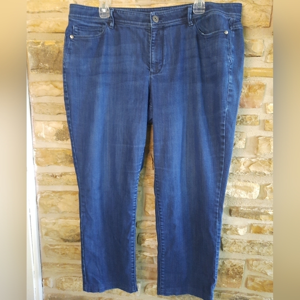 J. Jill Women's Skinny Jeans - Blue